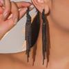 Exaggerated Temperament Black Crystal Long Tassel Earrings Fashion High Sense Earrings Bridal Earrings Women Earrings 1 Pair