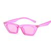 Vintage Cat Eye Sunglasses Woman Retro Shades Black Sun Glasses Female Fashion Small Frame Mirror Square