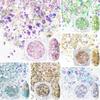 1 Bottle 1g Nail Sequins Sparkling Vibrant Color Shiny Visual Effect Ultra-Thin Wide Application DIY Plastic