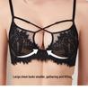 Женский кружевной комплект нижнего белья пуш-ап большого размера с французским кружевом для ресниц