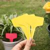 Bonsai Succulent Plant Labels: Writable 6x10 Flower Classification Signs