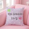 Creative Art Korean Luck Comes to Me Cushion Cover Pillow Case Soft Skin Friendly Fabric  Concealed Zipper