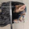 Wolf Latex Mask Long Hair Halloween Cosplay Costume Party Prop