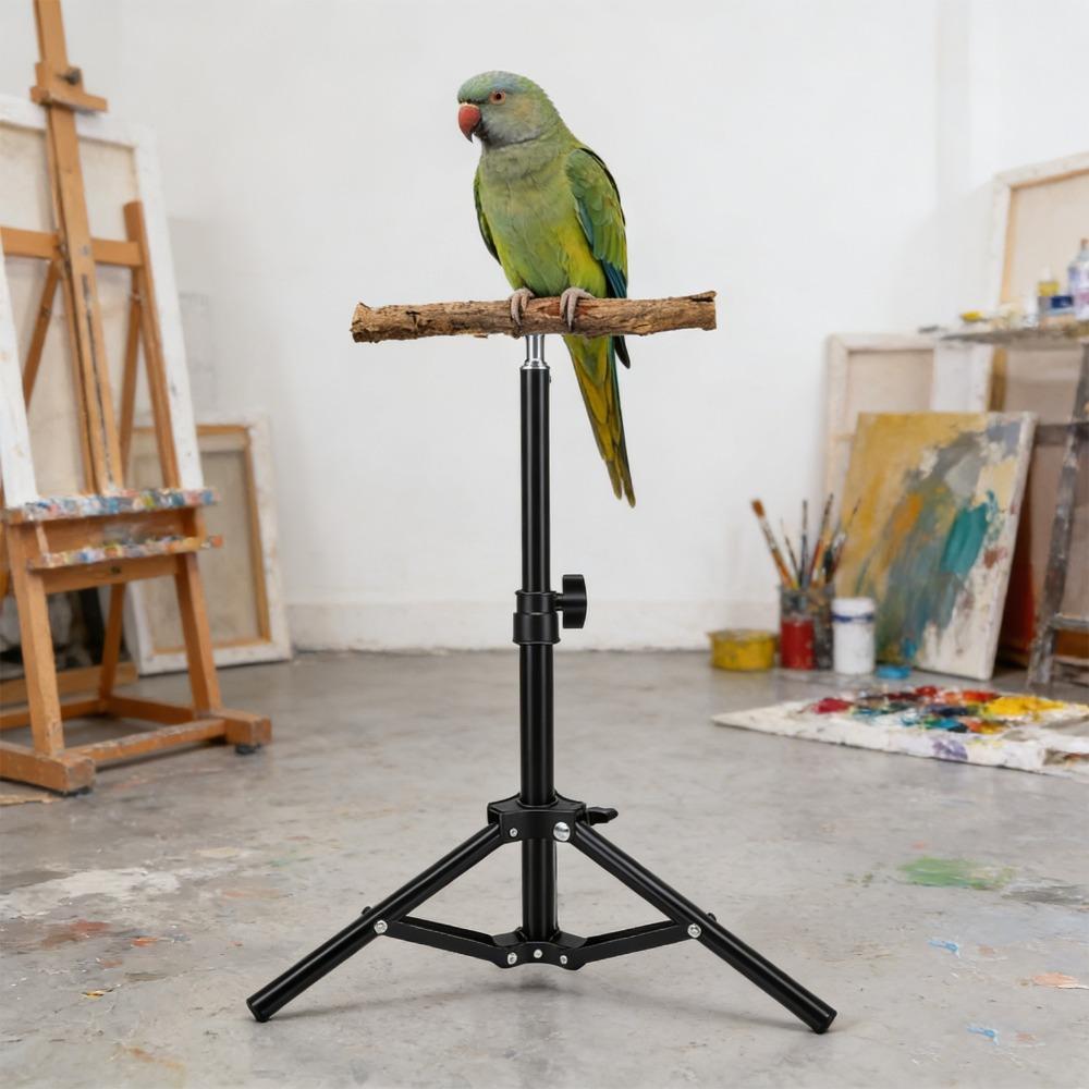 Alloy Bird Training Perch Adjustable Height Outdoor Bird Stand Indoor Play Area