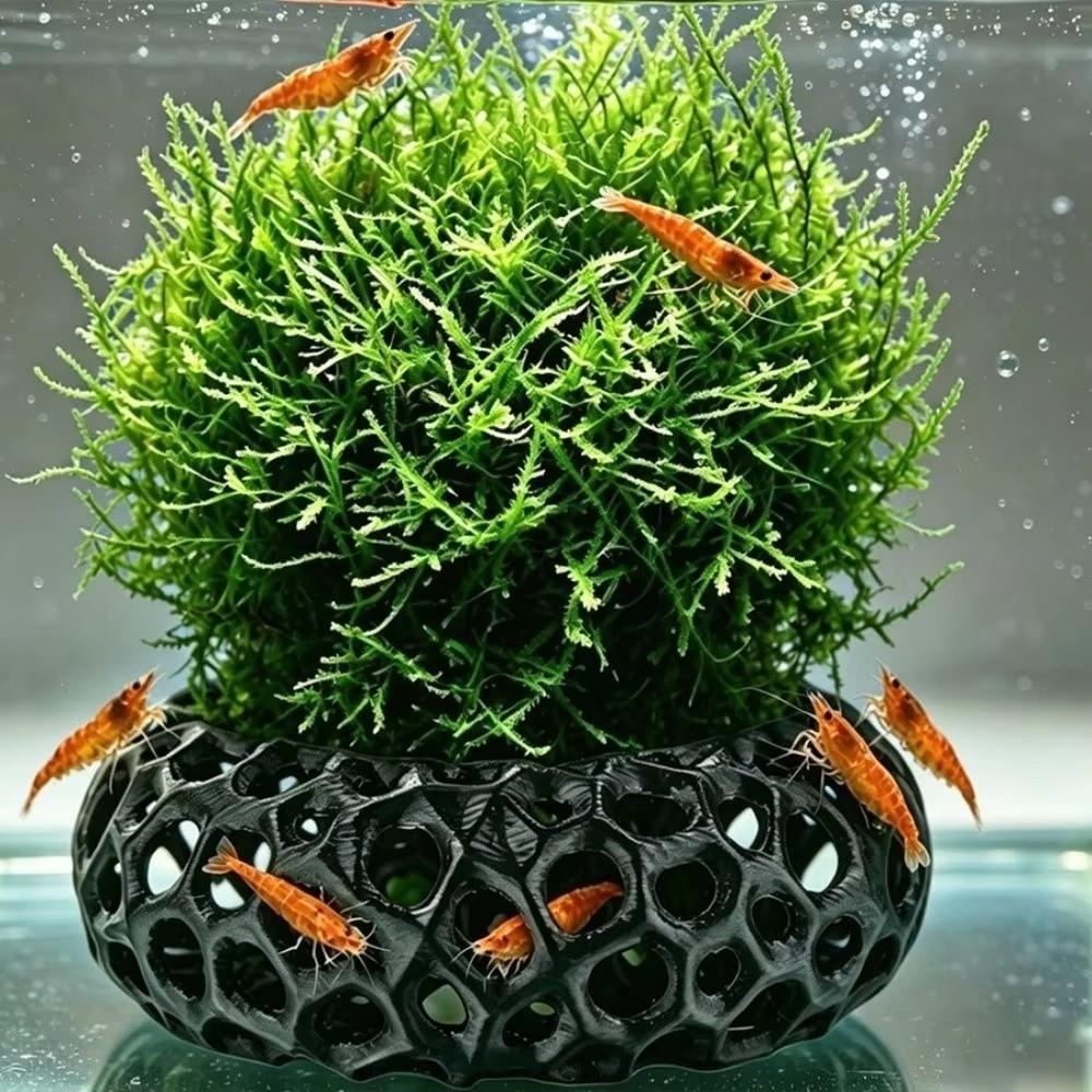Porous Structure Aquarium Fish Shelter 3D Printed Shrimp Shelter Cave Shrimp Resting