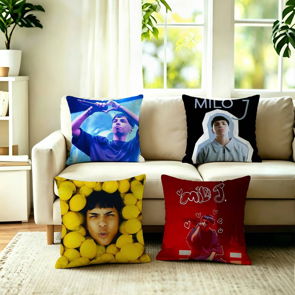 MMilo J La Vida Era Mas Corta Pillow Case Square DoubleSided Sofa Cushion Cover Bedroom Bedside Pillow