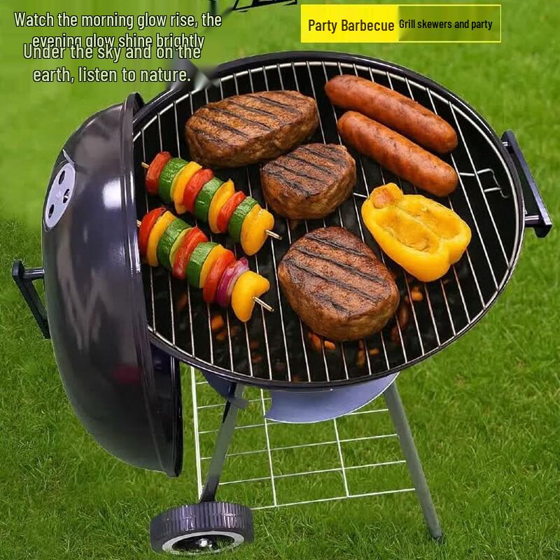 Oeny Portable Charcoal BBQ Grill