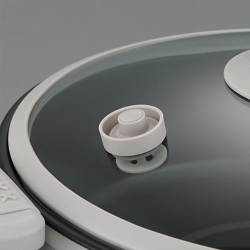 Aucma Electric Multi-Function Pot