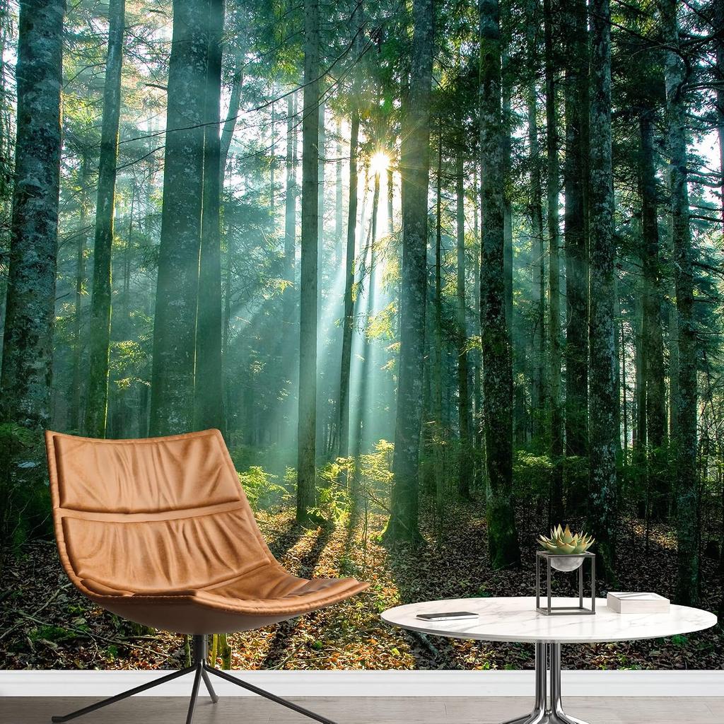 Misty Forest Wallpaper Tall Trees Serene Nature Landscape Wall Mural