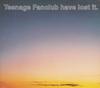 CD TEENAGE FANCLUB - Teenage Fanclub Have Lost It CRESCD216 Creation Record 1995 UK Rock Used