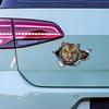3D Tiger Car Sticker, Fun Waterproof Sticker for Cars, Trucks, Motorcycles, Walls, Windows, PVC Material