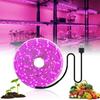5M 2835 SMD LED Grow Light Full Spectrum USB Grow Light Strip Phyto Lamps Plant Growth Light for Plants Greenhouse Hydroponic Growing