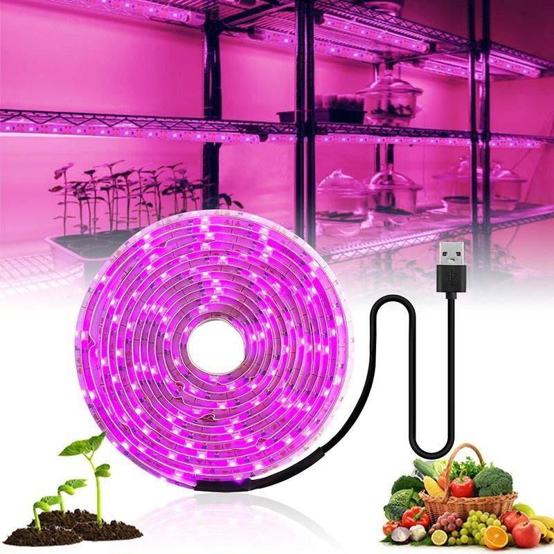 5M 2835 SMD LED Grow Light Full Spectrum USB Grow Light Strip Phyto Lamps Plant Growth Light for Plants Greenhouse Hydroponic Growing