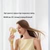 Laifen SE 2 High-Speed Ionic Hair Dryer CN plug (adapter included)