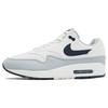 Мужские кроссовки Air Max 1 Pure Platinum Dark Obsidian Grey Platinum-Tint FD9082-002