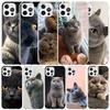 Чехол для телефона с изображением британской короткошерстной кошки для iPhone 16 17 Air 16E 15 14 Plus 13 Mini 12 11 Pro Max 7 8 + SE 2020 Мягкая задняя крышка из ТПУ 16