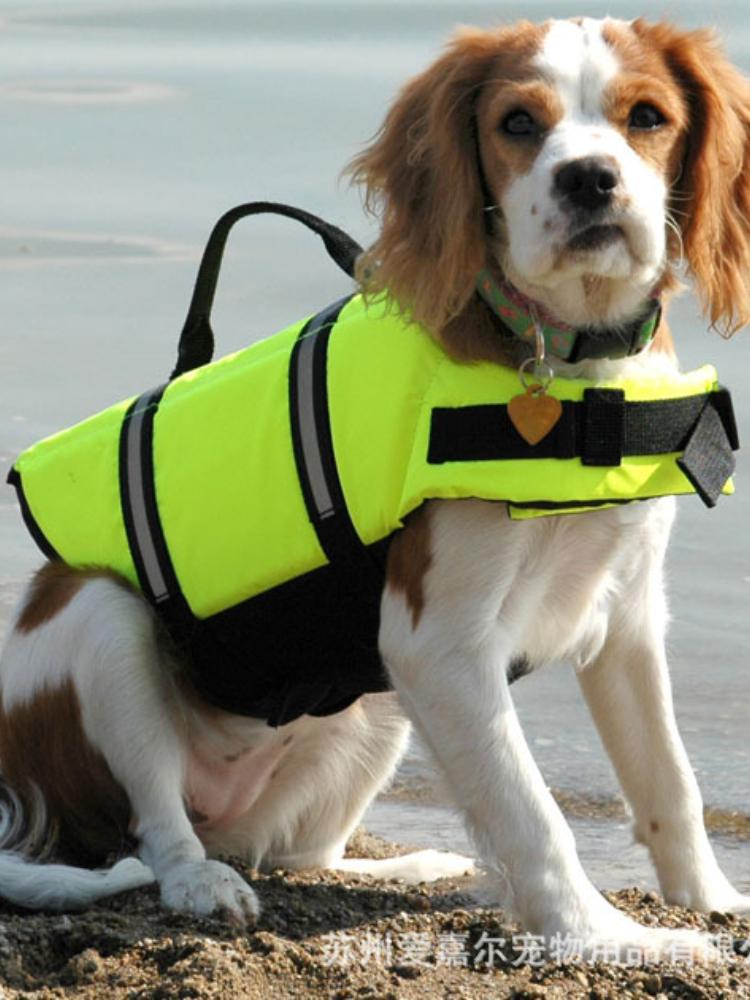 Dog Swimsuit Summer Outdoor Reflective Buoyancy Pet Play Water Safety Training Life Jacket Full Size Sportswear Pet Supplies