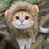 Милая кошачья шапка, забавный Хэллоуин, косплей, лев, шарф, парик для маленьких собак, кошек, котят, щенков, головной убор, мопс, креативная одежда, аксессуары