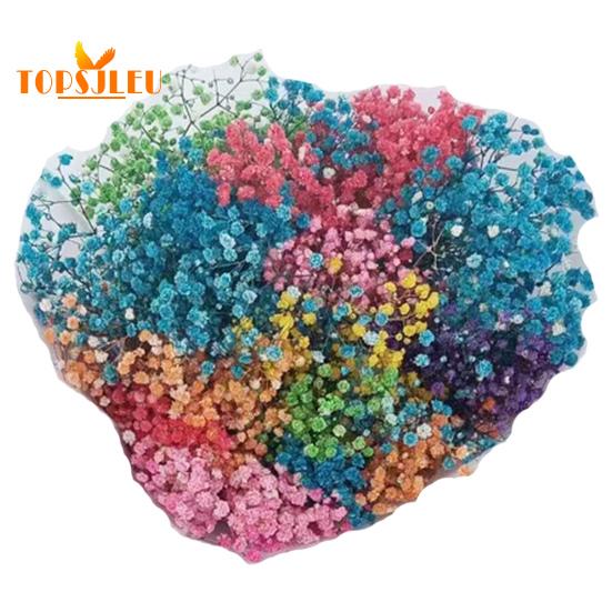 Букет эониума, сушеные цветы, яркий цвет, не выцветает, простота в уходе, натуральная сушеная гипсофила, сцена украшения ко Дню святого Валентина.