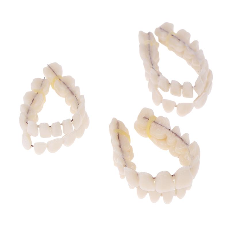 Boxed Resin Denture Upper Lower Teeth Full Mouth S/M/L Size Preformed Dentition Oral Care Teaching Model