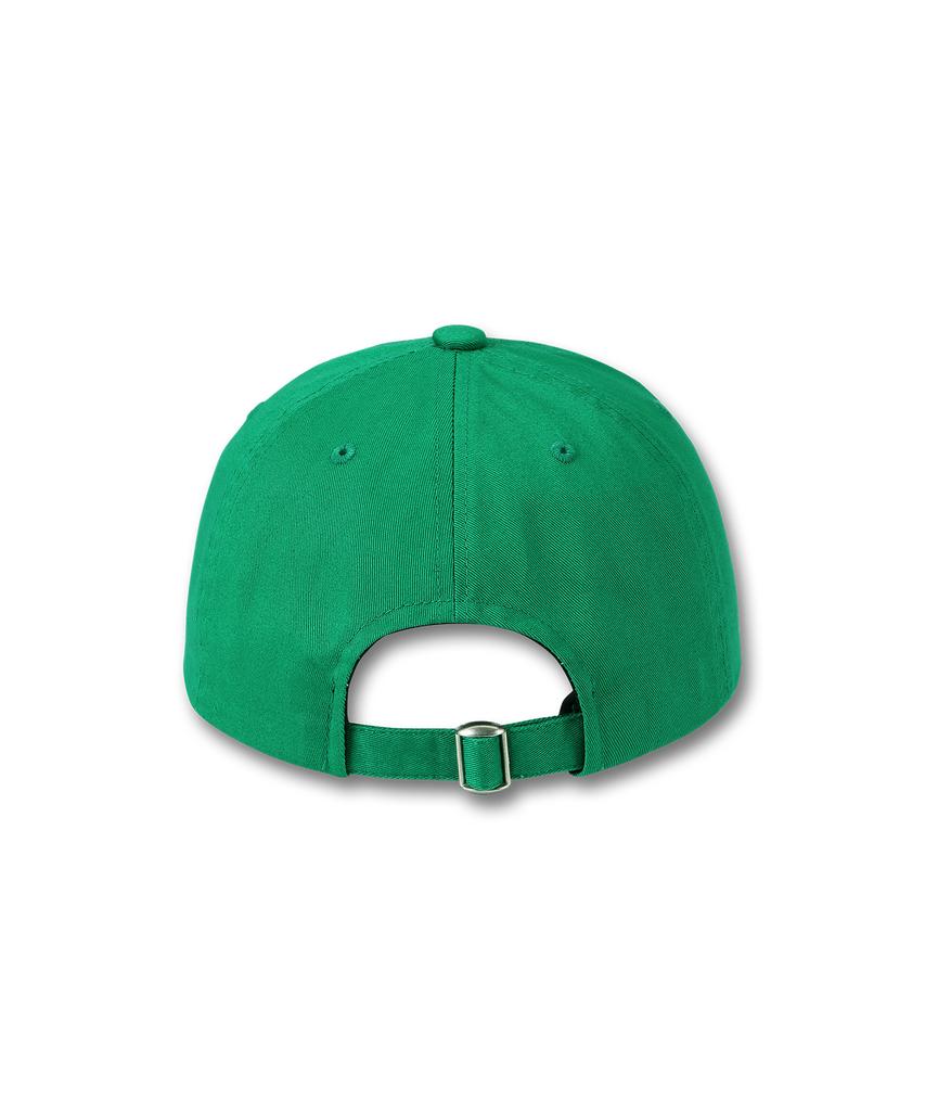 DOLPHIN WAVE APPAREL Бейсболка с надписью DOLPHIN WAVE Зеленая