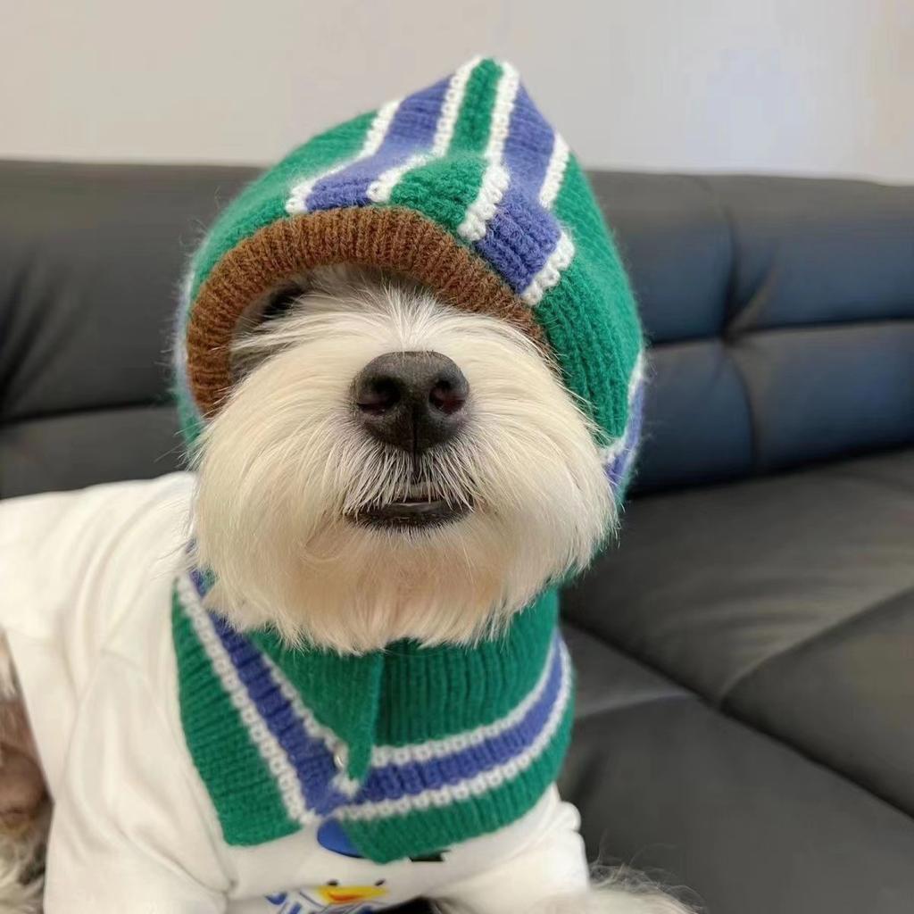 Autumn/Winter Dog Hooded Scarf Winter Warm Cloak Teddy Bears Schnauzer Small Woolen Bib Dog Hats Puppy Accessories