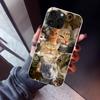 Crying Cat Memes Phone Case For iPhone 17 Air 16 15 Pro Max 14 Plus 13 Mini 12 11 Cover 7 8 SE Silicone Shell Print Fundas 17 Ai