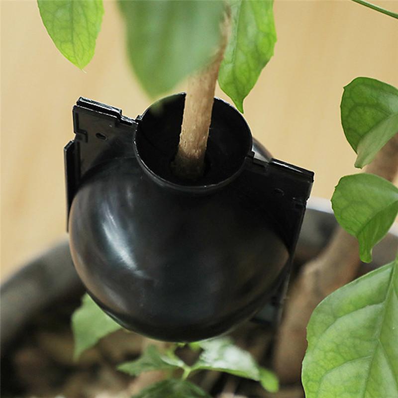 10Pcs Reusable Plant Root Growing Box Cutting Grafting Rooting Ball Garden Rooting Propagation Ball Breeding Equipment