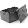 Термоконтейнер термобокс Cam GoBox Economy GN 1/1 46 л 600x400x316 мм