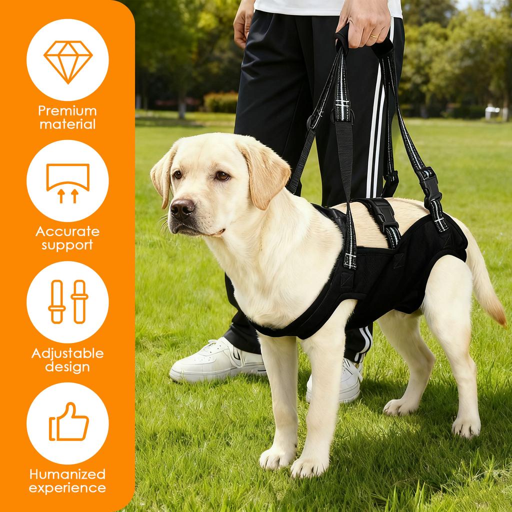 Dog Lift Harness Dog Body Support Harness for Injured Disabled Elderly Dog Carrying Recover Support Harness Pet Supplies