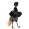 Hansa Realistic Hand Puppet (Emu)