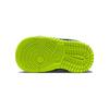 Nike Детские кроссовки Dunk Low SE TD Lets Dance Разноцветные Черный Балтийско-Синий DV1697-900