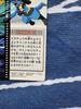 Pokémon Carddass Mew and the Hero of the Wave Lucario Bandai zukan carddass