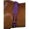 Kincade Роллер для выпадов Deluxe Equigrip