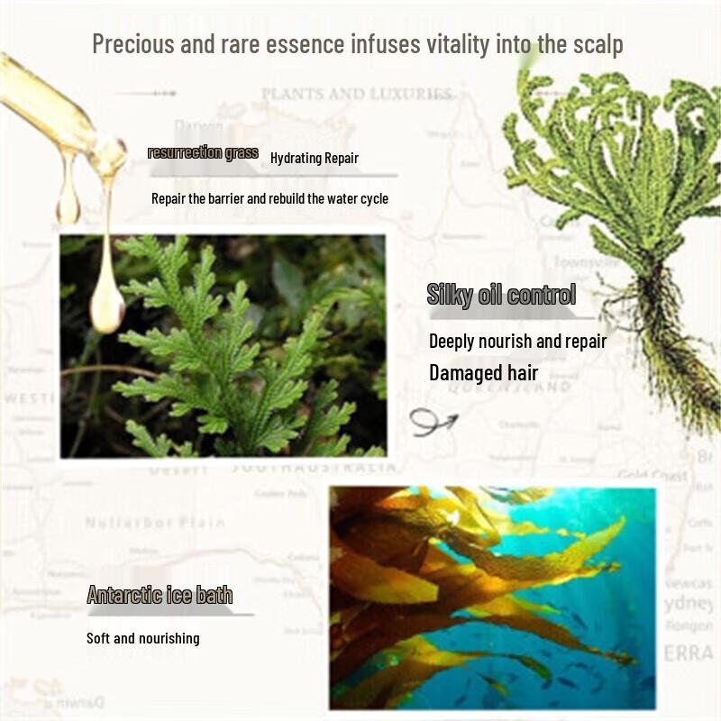 Botanical Whisper White Truffle & Resurrection Grass Oil Control Volumizing Shampoo