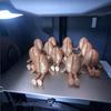 3D-печатные фигурки кофейных зерен/чашек с подвижными ножками, игрушка-фиджет, украшение для дома, офиса, рабочего стола, подарок