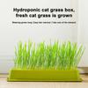 4 Styles Catgrass Planting Bowls Hydroponic Nursery Tray Cat Grass Growing Kit  Veterinary