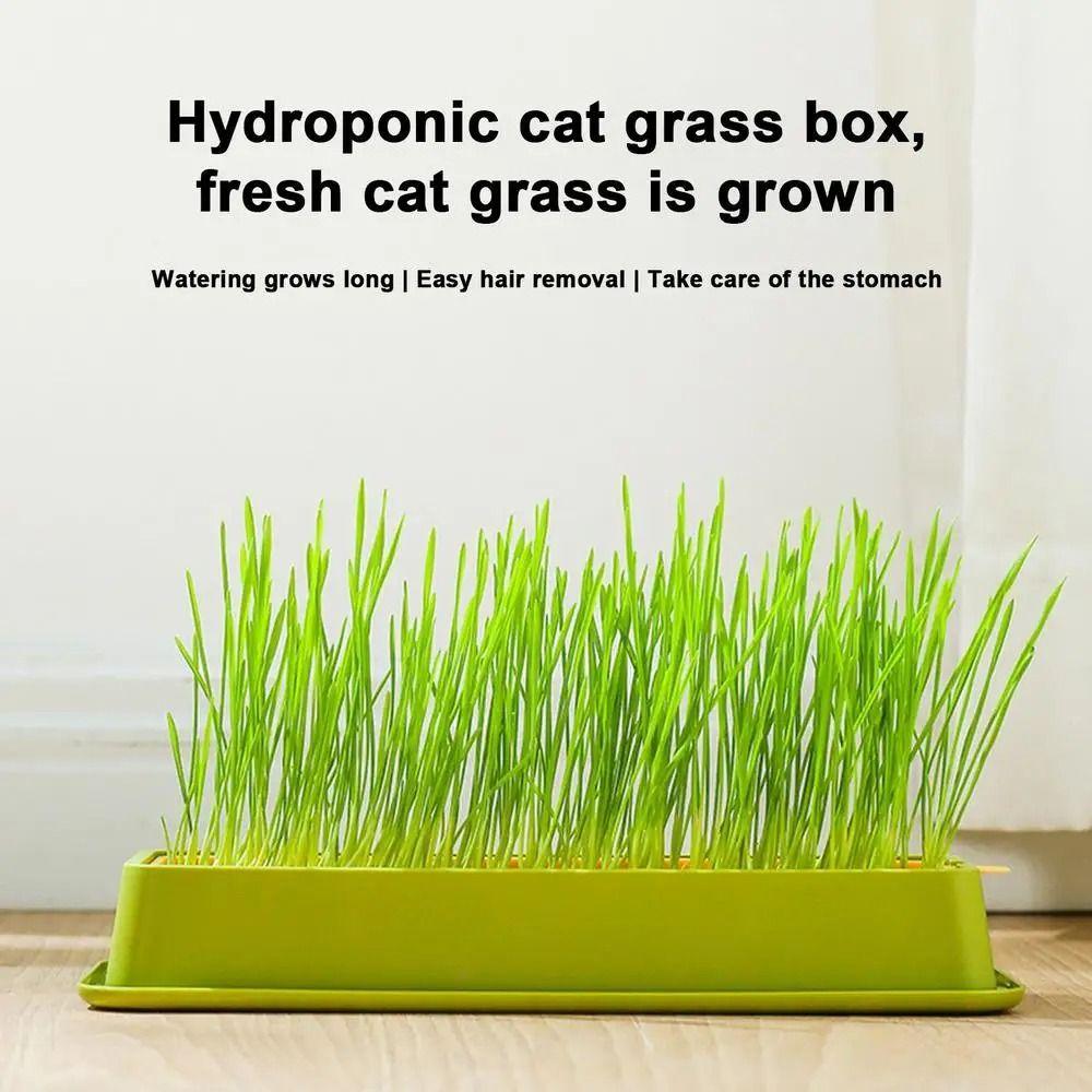 4 Styles Catgrass Planting Bowls Hydroponic Nursery Tray Cat Grass Growing Kit  Veterinary