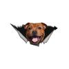 Staffordshire Bull Terrier 3D Break the Wall Car Sticker, Waterproof Vinyl Material Accessories, Interesting For Cars, Trucks, Motorcycles, Walls