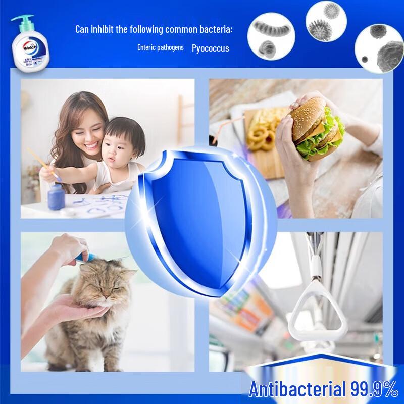 Walch Foaming Antibacterial Hand Wash (Healthy Care & Classic Gold 2-Pack)