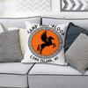 SPQR CCamp HHalfBBloods CHB Various Sizes Square Pillow Case For Car Home Bedchamber Decor Custom Valentine gift