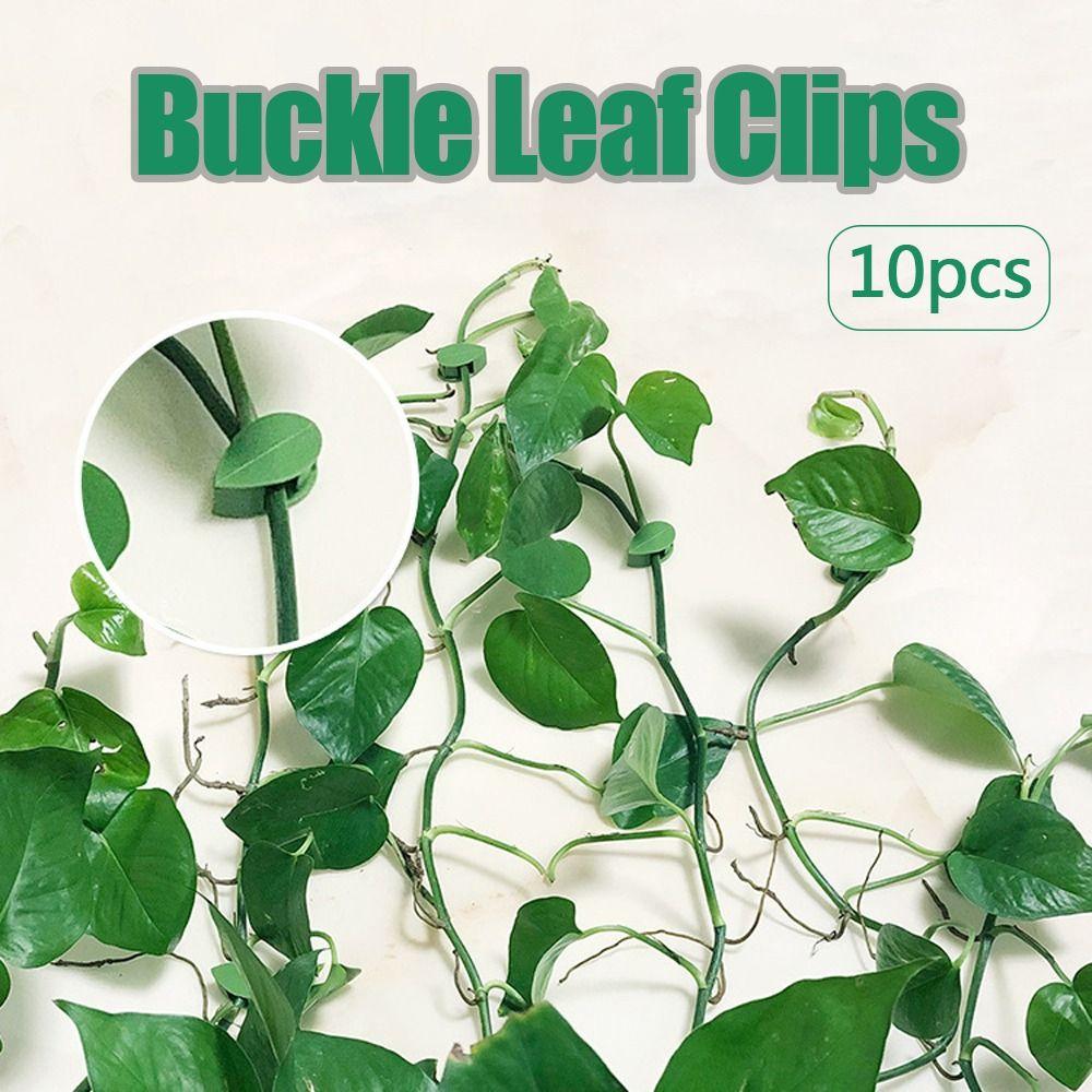 10Pcs Wall Fixer Leaf Shaped Clips Self-Adhesive Fixed Buckle New Hook Support  for Plant Climbing