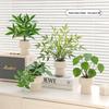 Nordic Indoor Desktop Bonsai: Artificial Green Plants for Office Decoration