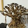 50 шт. Диски из скорлупы кокоса Скорлупа кокоса Для поделок Круглые скорлупки кокоса Украшения для аквариума Декор для аквариума из скорлупы кокоса