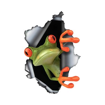 Наклейки на автомобиль с лягушкой, забавные, водонепроницаемые, виниловые, декоративные аксессуары для мотоциклов, используемые для автомобилей, мотоциклов, ноутбуков, фургонов