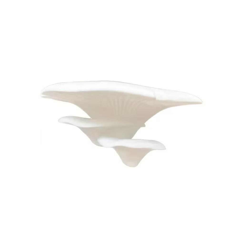Plastic Display Storage Rack Wall-Mounted Mushroom Shelf Small Mushroom Stand Office Desk