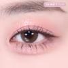2AN Beauty Eye Palette 12 colors (single item/limited edition)