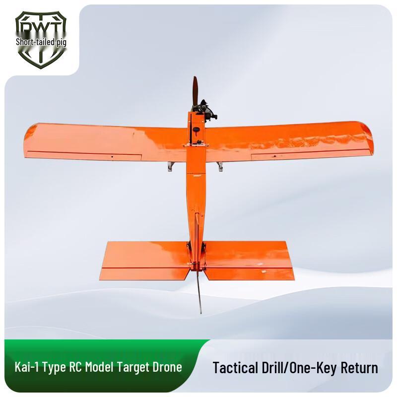 Short-tailed Dolphin I Programmable RC Trainer