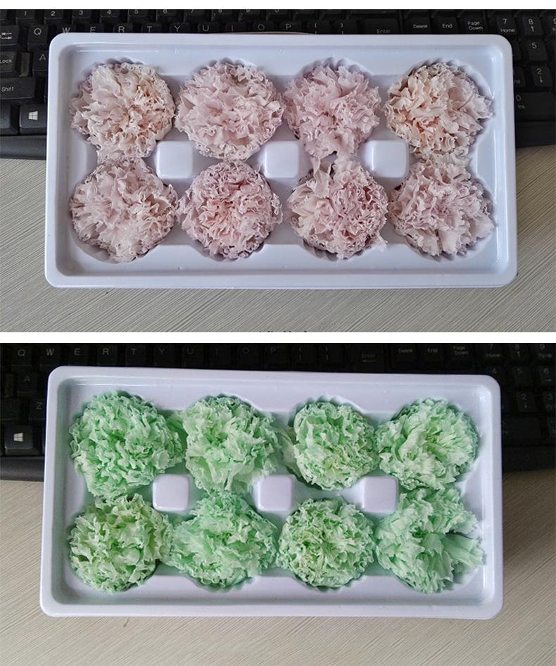 Preserved Yunnan Carnation Flowers – Perfect Mother’s Day and Birthday Gift