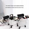Multifunctional Aluminum Makeup Trolley Case with Large Storage for Artists, Manicure, and Hairdressing